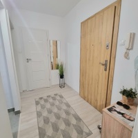 Do wynajęcia mieszkanie w centrum Rzeszowa